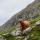 Scotland Itinerary, 4 days